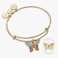 Load image into Gallery viewer, Chrysiridia Rhipheus Butterfly Charm Bangle