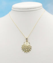 Load image into Gallery viewer, Lions Paw Shell &amp; Chain - 14K Yellow Gold