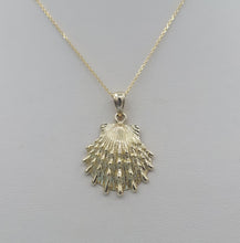 Load image into Gallery viewer, Lions Paw Shell &amp; Chain - 14K Yellow Gold