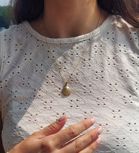 Load image into Gallery viewer, Lions Paw Shell &amp; Chain - 14K Yellow Gold