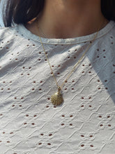 Load image into Gallery viewer, Lions Paw Shell &amp; Chain - 14K Yellow Gold
