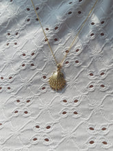 Load image into Gallery viewer, Lions Paw Shell &amp; Chain - 14K Yellow Gold