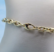 Load image into Gallery viewer, 8" Rolo Bracelet - 14K Yellow Gold