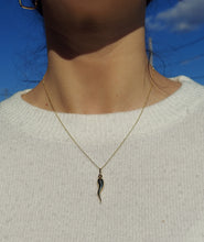Load image into Gallery viewer, 14K Gold Italian Horn Necklace