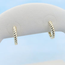 Load image into Gallery viewer, Rope Detail Hinged Huggie Earring - Gold Plated