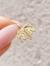 Load image into Gallery viewer, RN Charm - 14K
