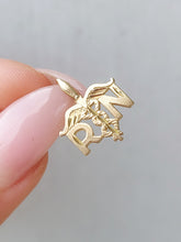 Load image into Gallery viewer, RN Charm - 14K