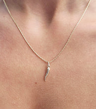 Load image into Gallery viewer, Italian Horn on 18" Razza Chain  - 14K Yellow Gold