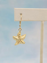Load image into Gallery viewer, Starfish Leverback Earrings - 14K Yellow Gold