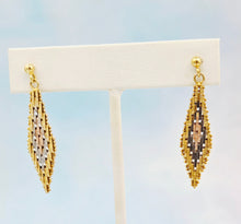 Load image into Gallery viewer, Doorbuster Tri-Color Earrings