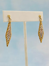 Load image into Gallery viewer, Doorbuster Tri-Color Earrings