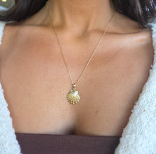 Load image into Gallery viewer, Lion’s Paw Sea Shell Pendant Necklace- 14K Yellow Gold