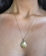 Load image into Gallery viewer, Lion’s Paw Sea Shell Pendant Necklace- 14K Yellow Gold