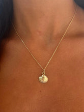 Load image into Gallery viewer, Mussel Shell Pendant &amp; Chain - 14K Yellow Gold