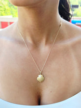 Load image into Gallery viewer, Lions Paw Shell &amp; Chain - 14K Yellow Gold