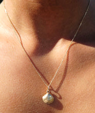 Load image into Gallery viewer, Mussel Shell Pendant &amp; Chain - 14K Yellow Gold