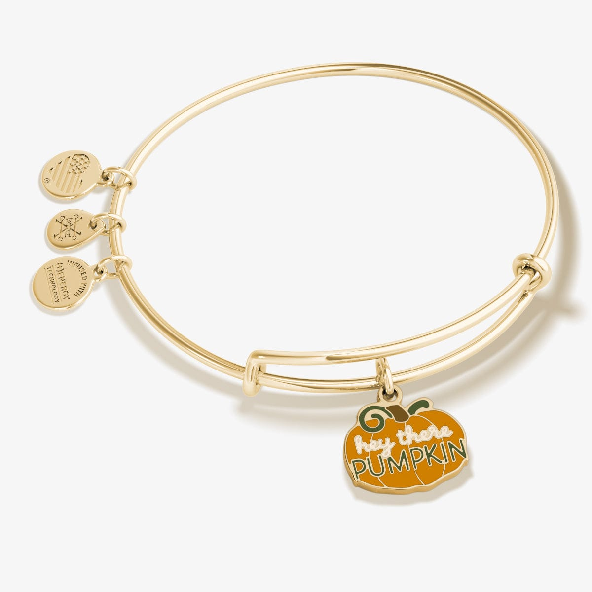 Hey There Pumpkin Charm Bangle Bracelet