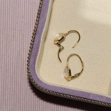 Load image into Gallery viewer, Stardust Leverback Earrings - Chloe and Lois