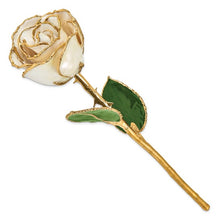 Load image into Gallery viewer, Lacquer Dipped Gold Trimmed White Satin Real Rose