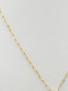 14K Yellow Gold Italian Horn Pendant with 14K Yellow Gold Paperclip Chain