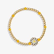 Load image into Gallery viewer, White Daisy Stretch Bracelet - Luca and Danni