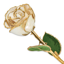 Load image into Gallery viewer, Lacquer Dipped Gold Trimmed White Satin Real Rose