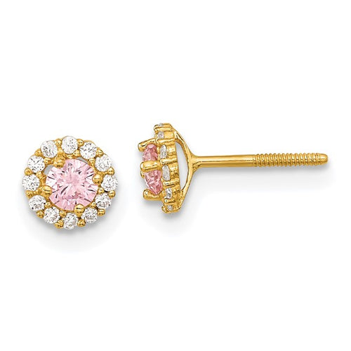 Pink and Clear CZ Screwback Post Earrings -14K Gold