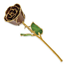 Load image into Gallery viewer, Lacquer Dipped Gold Trim Chocolate Brown Rose