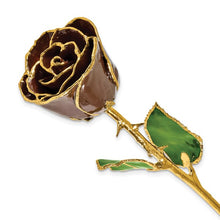 Load image into Gallery viewer, Lacquer Dipped Gold Trim Chocolate Brown Rose