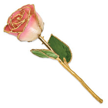 Load image into Gallery viewer, Lacquer Dipped Gold Trimmed White Pink Real Rose