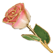 Load image into Gallery viewer, Lacquer Dipped Gold Trimmed White Pink Real Rose