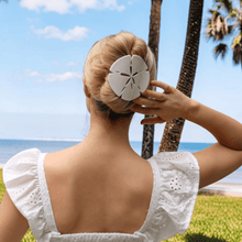 Load image into Gallery viewer, Sand Dollar Large Flat Hair Clip