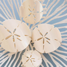 Load image into Gallery viewer, Sand Dollar Large Flat Hair Clip
