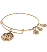 Load image into Gallery viewer, Turn Peace Up Charm Bangle Bracelet - Alex and Ani