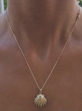 Load image into Gallery viewer, Lions Paw Shell &amp; Chain - 14K Yellow Gold