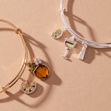 Load image into Gallery viewer, Margarita Charm Bangle Alex And Ani