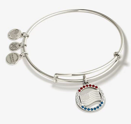 Alex and ani hot sale police bangle