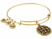 Load image into Gallery viewer, Compass Bangle Bracelet - Alex and Ani
