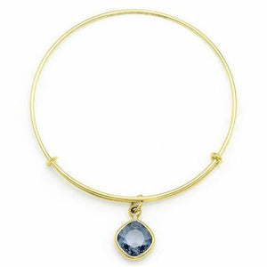 Intuition Crystal Color Therapy Bangle Bracelet - Alex and Ani