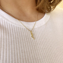 Load image into Gallery viewer, Italian Horn Pendant &amp; Chain - Gold Filled