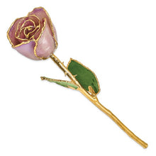 Load image into Gallery viewer, Lacquer Dipped Gold Trimmed Lavender Real Rose with VASE