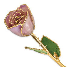 Load image into Gallery viewer, Lacquer Dipped Gold Trimmed Lavender Real Rose with VASE