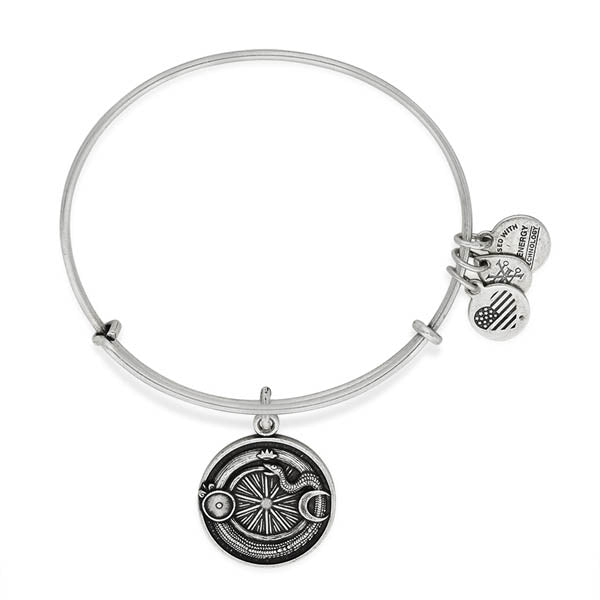 Ouroboros Charm Bangle Bracelet - Alex and Ani