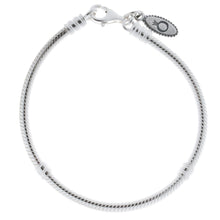 Load image into Gallery viewer, Pandora Bracelet with Lobster Claw Clasp