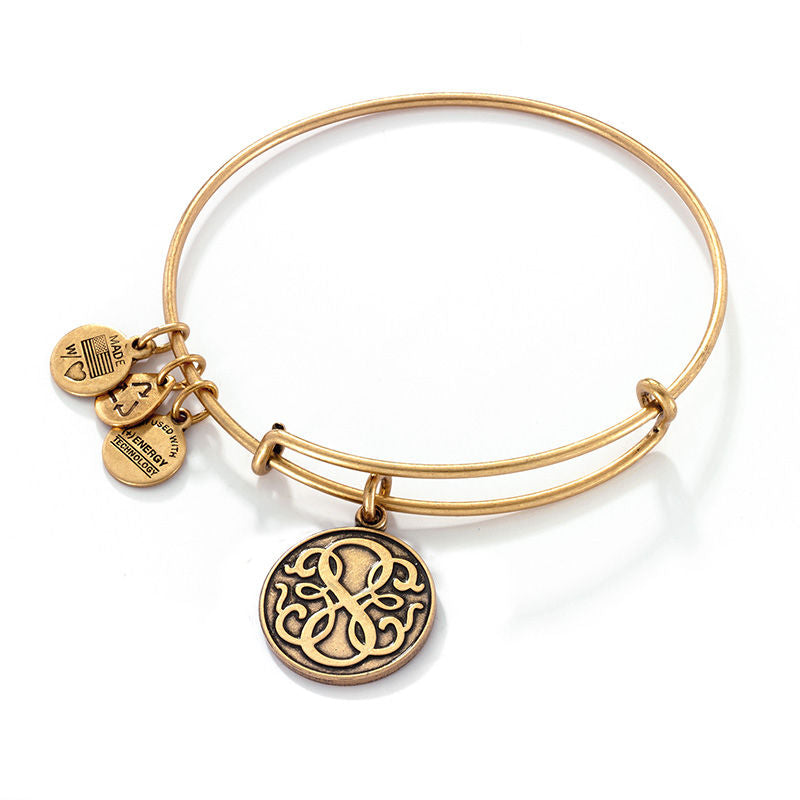 Path of Life Charm Bangle - Alex and Ani