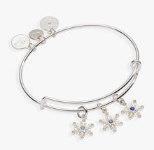 Load image into Gallery viewer, Snowflake Multi Charm Bracelet - Alex and Ani