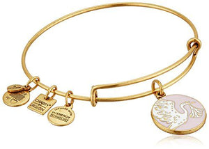 Special Delivery Baby Girl Bangle Bracelet - Alex and Ani