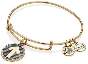 Stand Up to Cancer Bangle Bracelet - Alex and Ani