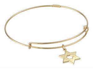 Star of David Bangle Bracelet - Alex and Ani Precious Collection