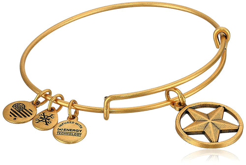 Star of Strength Charm Bangle Bracelet - Alex and Ani